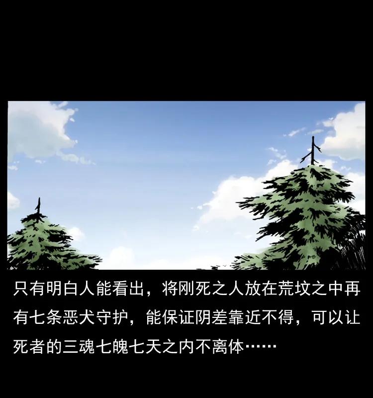 幽冥诡匠 050 刨尸狗传奇3 第51页