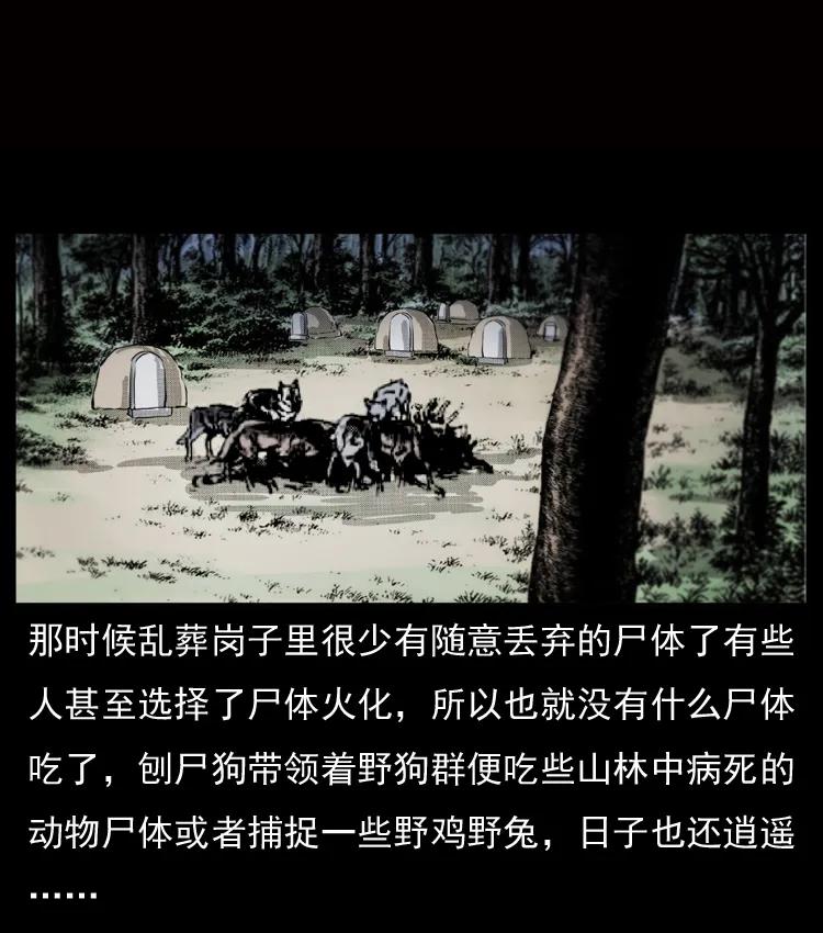幽冥诡匠 050 刨尸狗传奇3 第4页