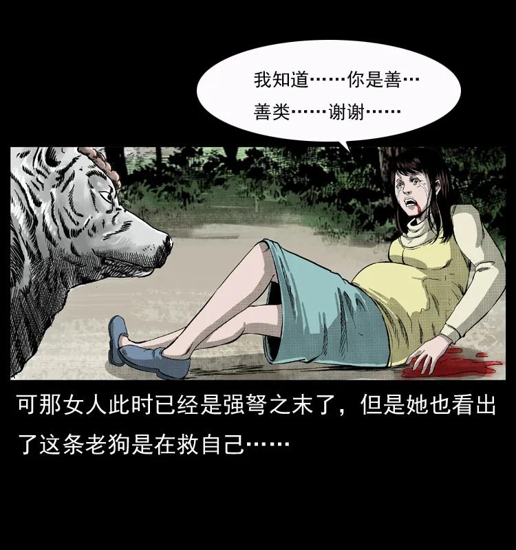 幽冥诡匠 050 刨尸狗传奇3 第44页