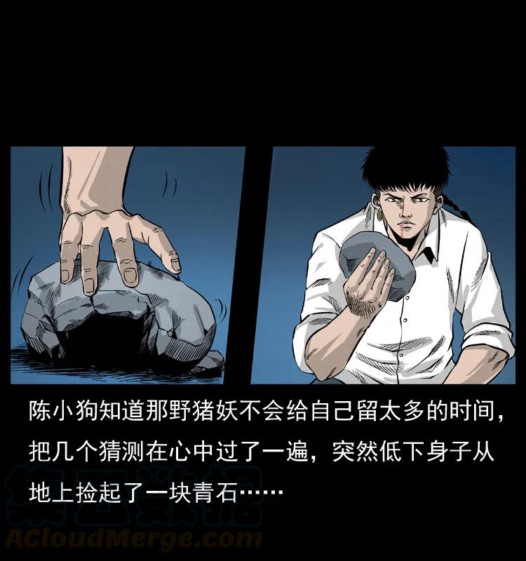 幽冥诡匠 057 大战野猪妖 第5页