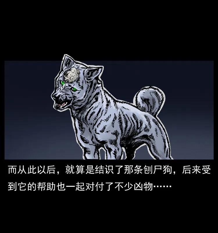 幽冥诡匠 005 刨尸狗 第62页