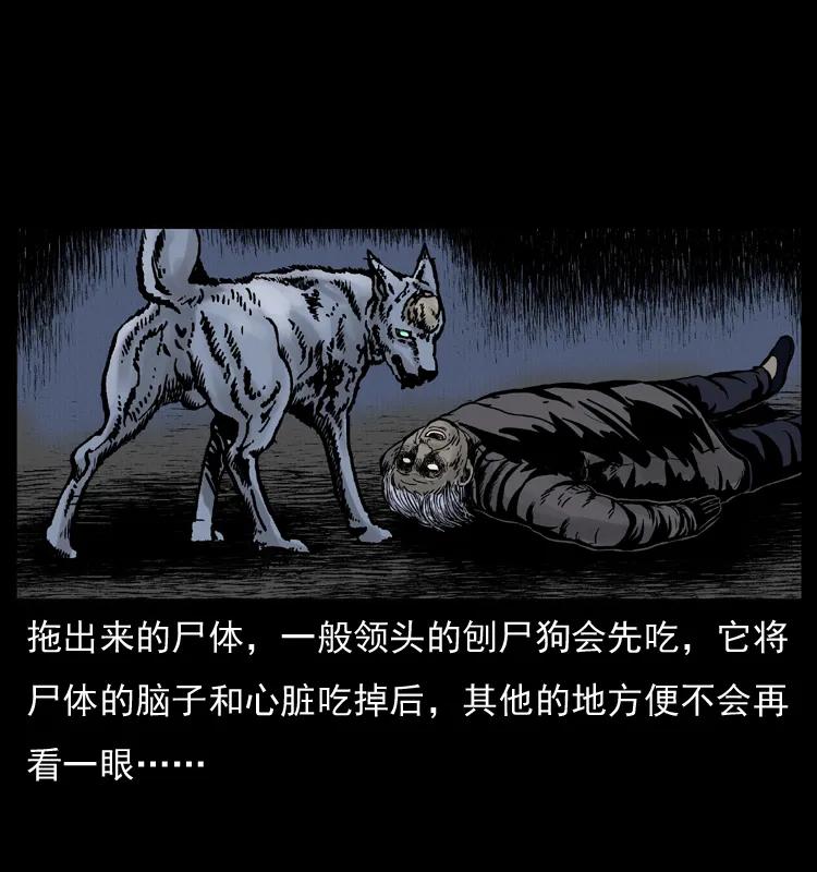 幽冥诡匠 005 刨尸狗 第15页