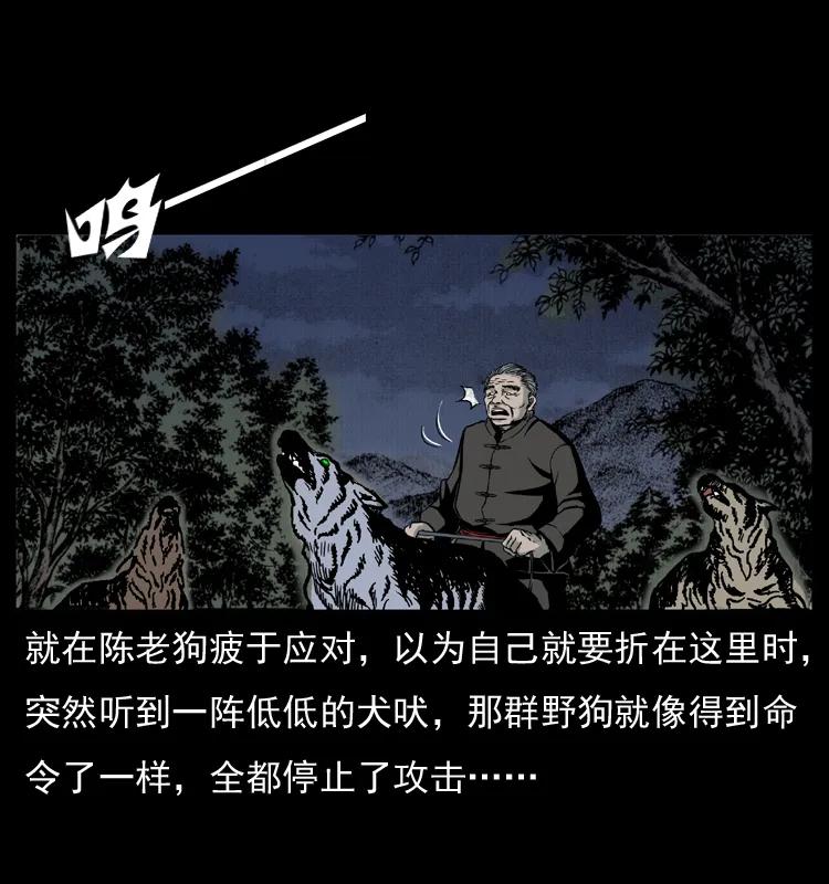 幽冥诡匠 005 刨尸狗 第46页