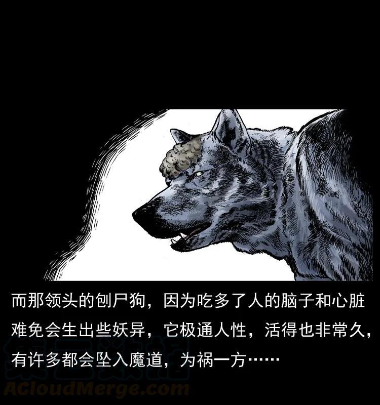 幽冥诡匠 005 刨尸狗 第17页