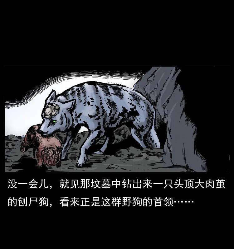 幽冥诡匠 005 刨尸狗 第48页