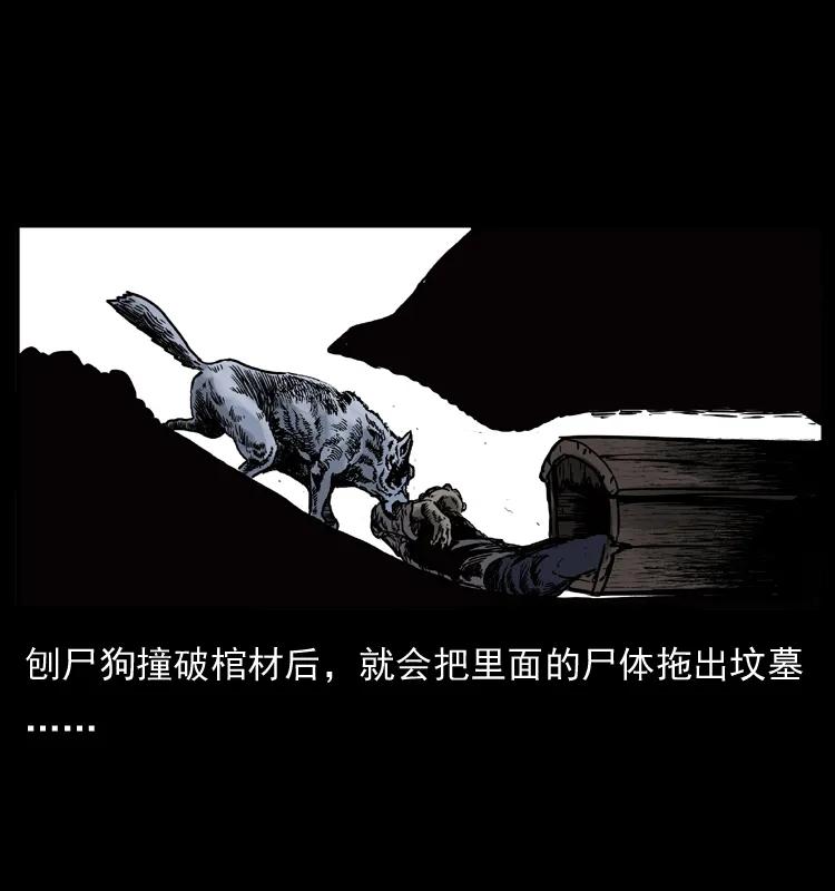幽冥诡匠 005 刨尸狗 第14页