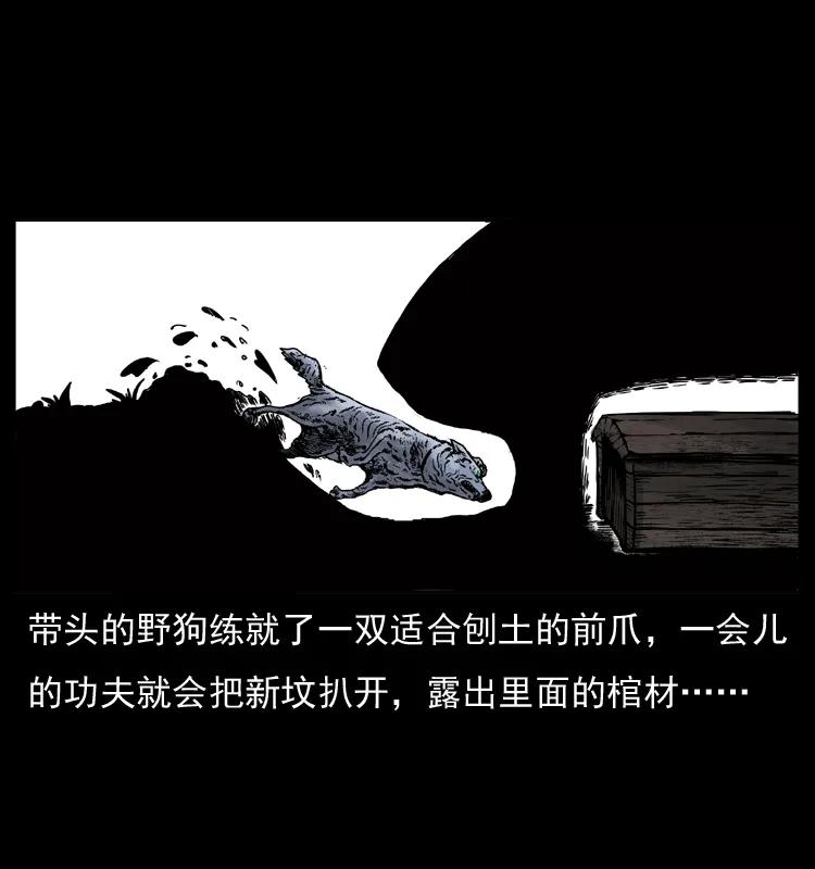 幽冥诡匠 005 刨尸狗 第11页