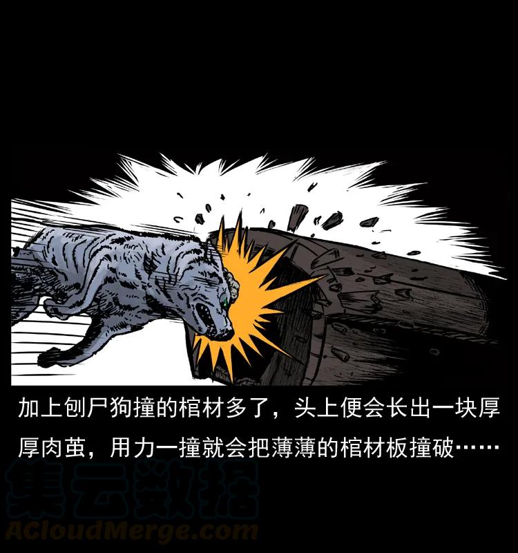 幽冥诡匠 005 刨尸狗 第13页