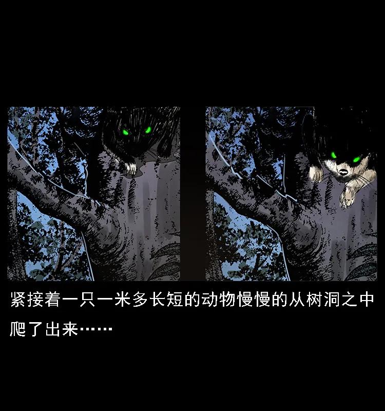 幽冥诡匠 063 义庄 第71页