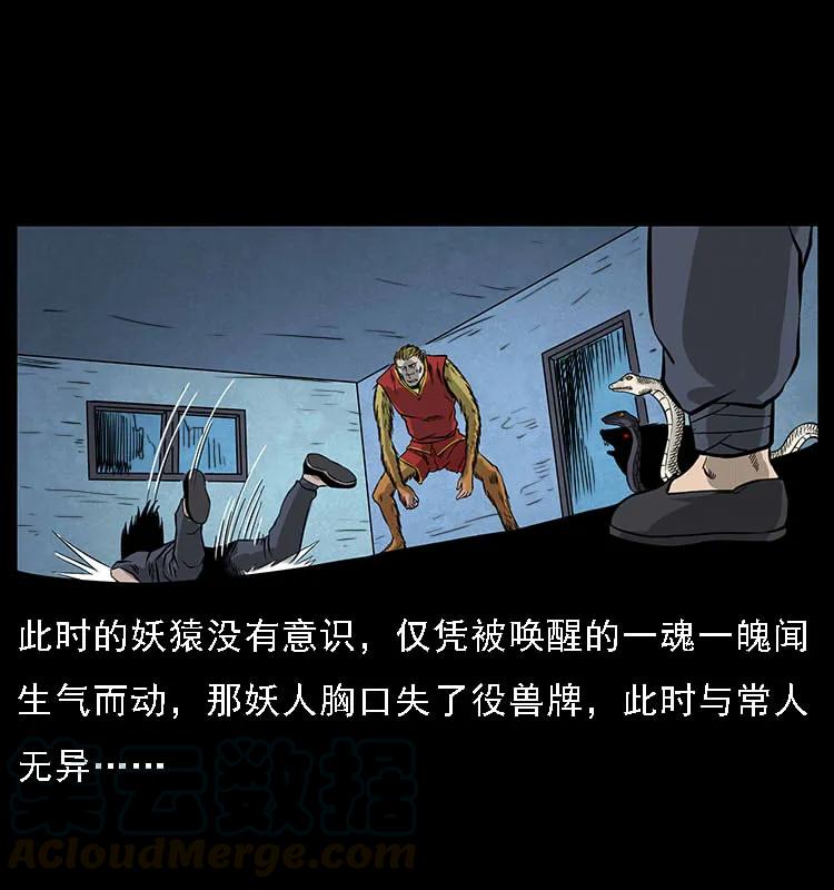 幽冥诡匠 064 役兽妖人 第65页