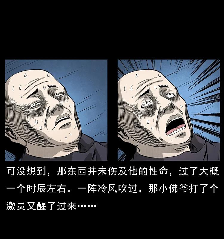 幽冥诡匠 066 再进京城 第78页