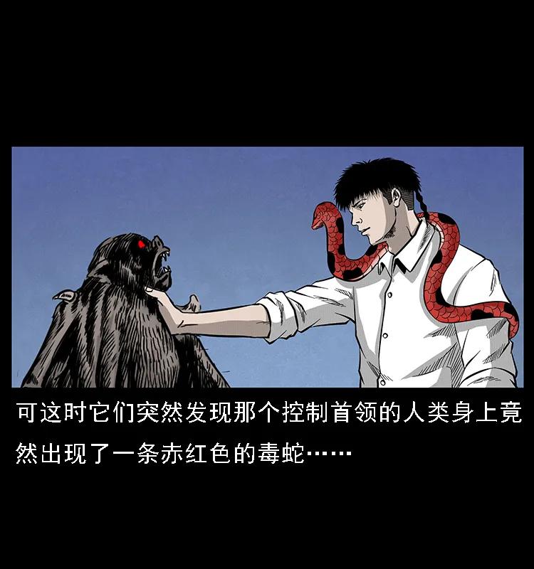 幽冥诡匠 067 夜魔之巢 第76页