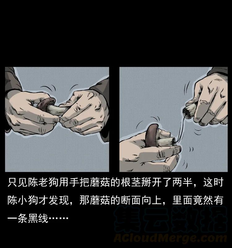 幽冥诡匠 006 棺材菇 第17页