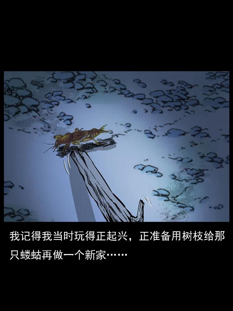 幽冥诡匠 番外2 之保家白仙 第48页