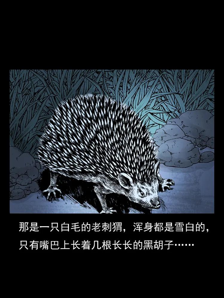 幽冥诡匠 番外2 之保家白仙 第32页