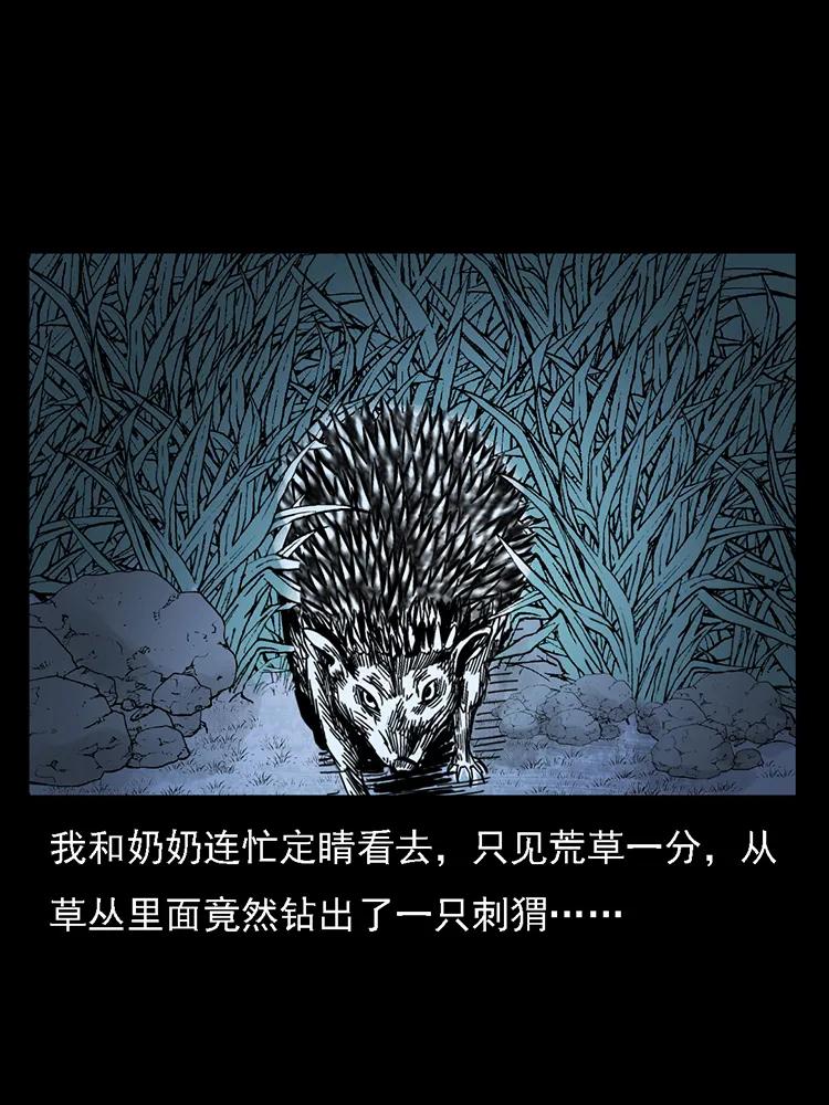 幽冥诡匠 番外2 之保家白仙 第31页