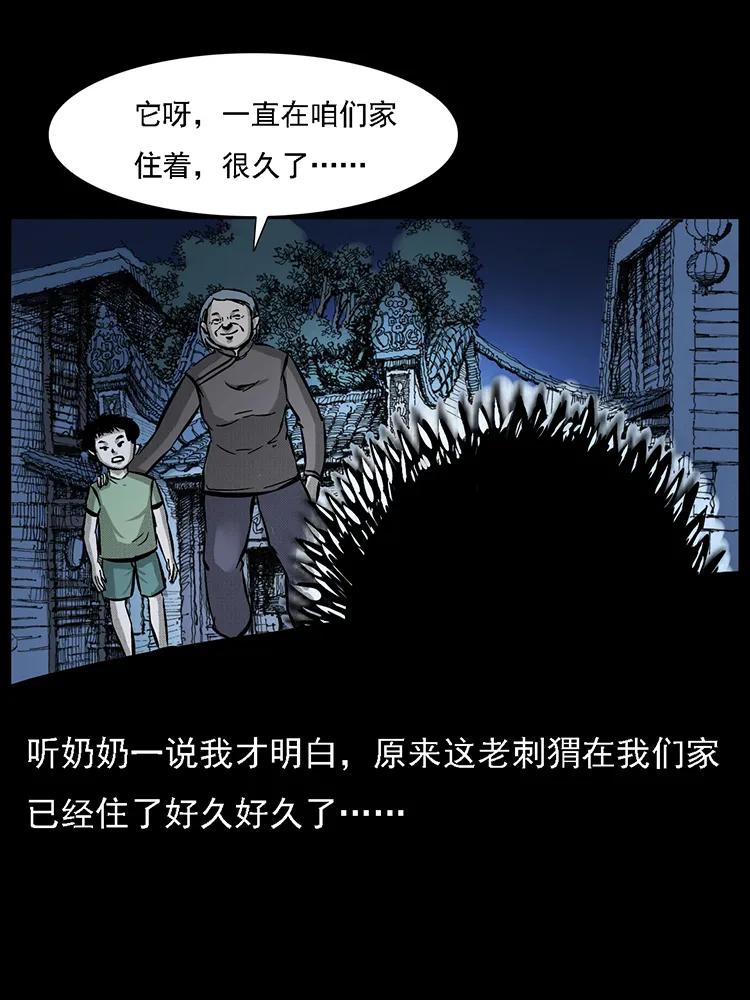 幽冥诡匠 番外2 之保家白仙 第35页