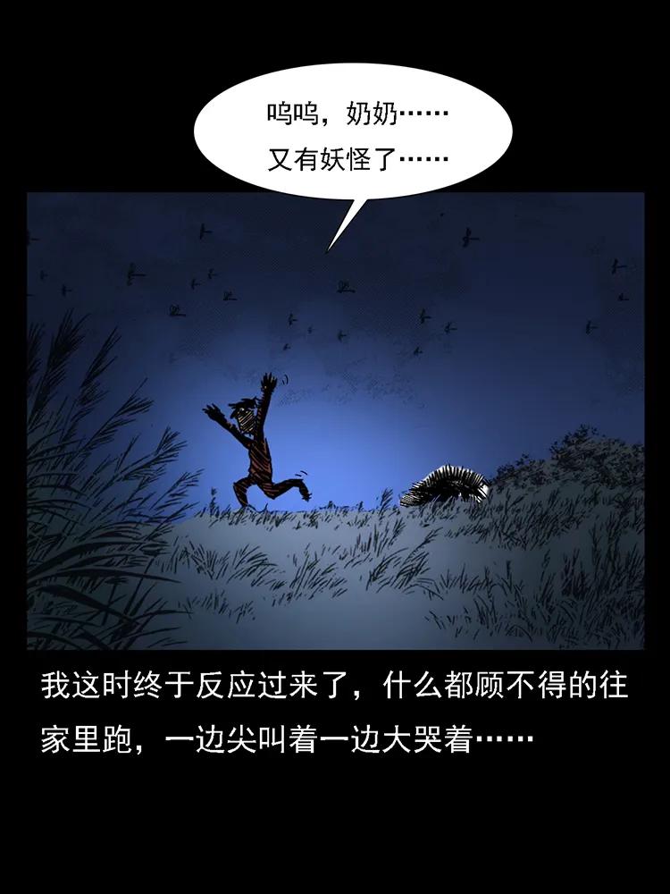 幽冥诡匠 番外2 之保家白仙 第74页
