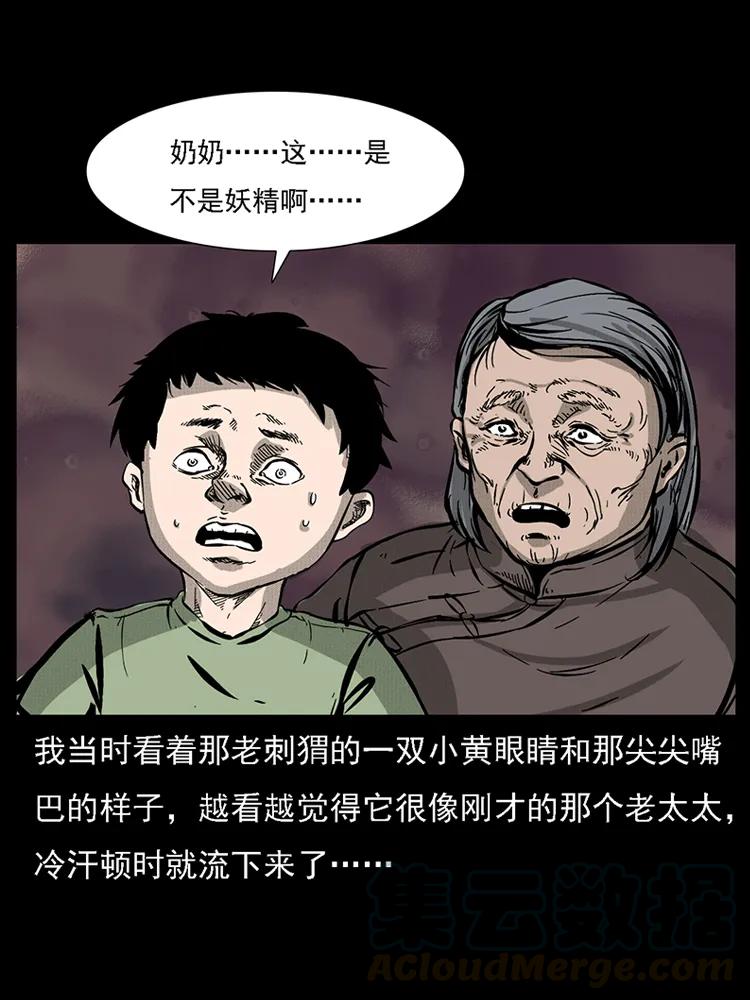 幽冥诡匠 番外2 之保家白仙 第33页