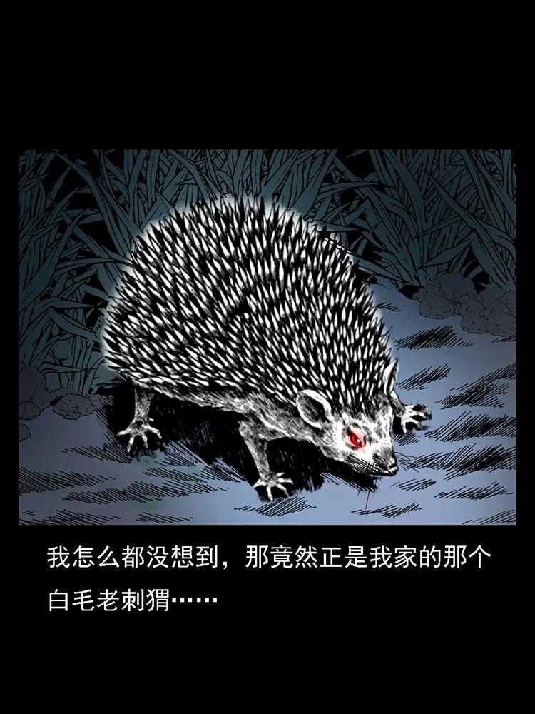 幽冥诡匠 番外2 之保家白仙 第72页