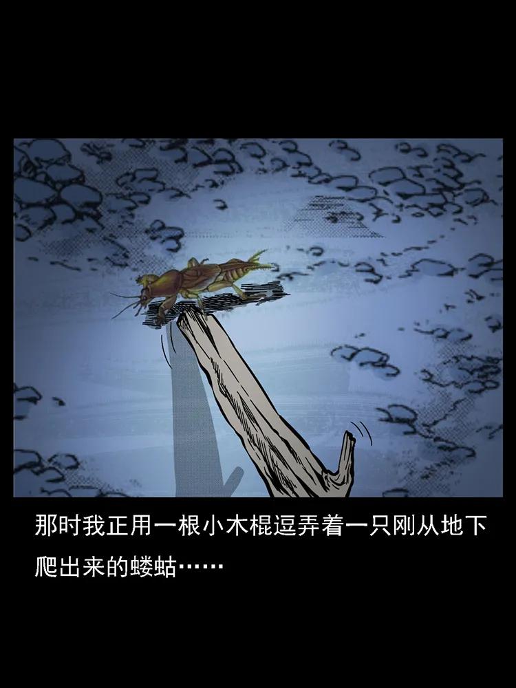 幽冥诡匠 番外2 之保家白仙 第46页