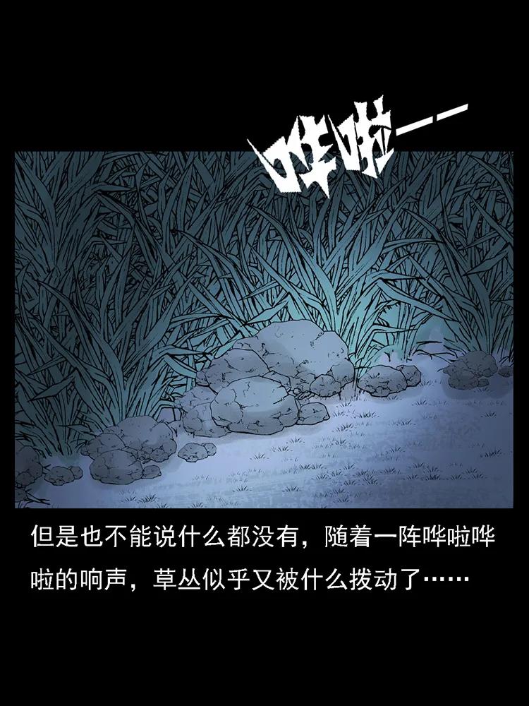 幽冥诡匠 番外2 之保家白仙 第30页