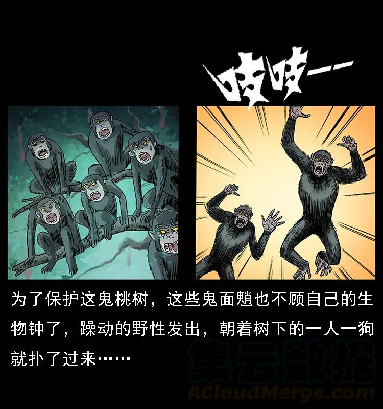幽冥诡匠 082 鬼桃树 第77页