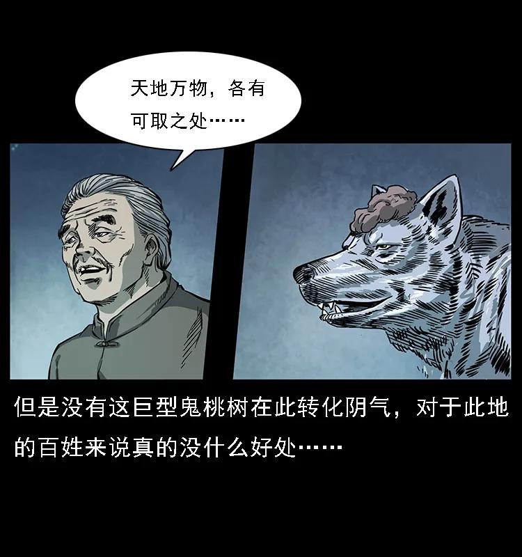 幽冥诡匠 082 鬼桃树 第64页