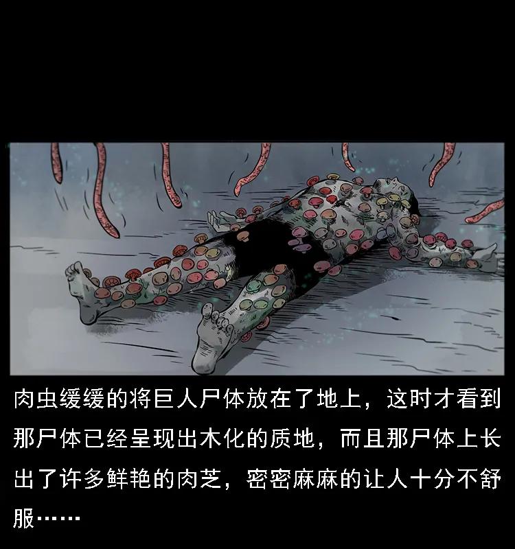 幽冥诡匠 082 鬼桃树 第39页