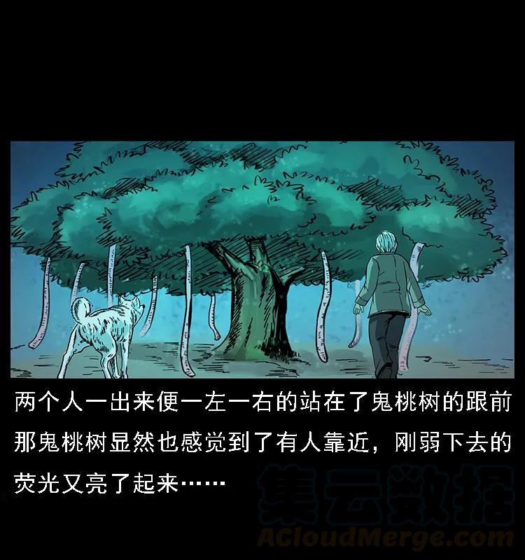幽冥诡匠 082 鬼桃树 第65页