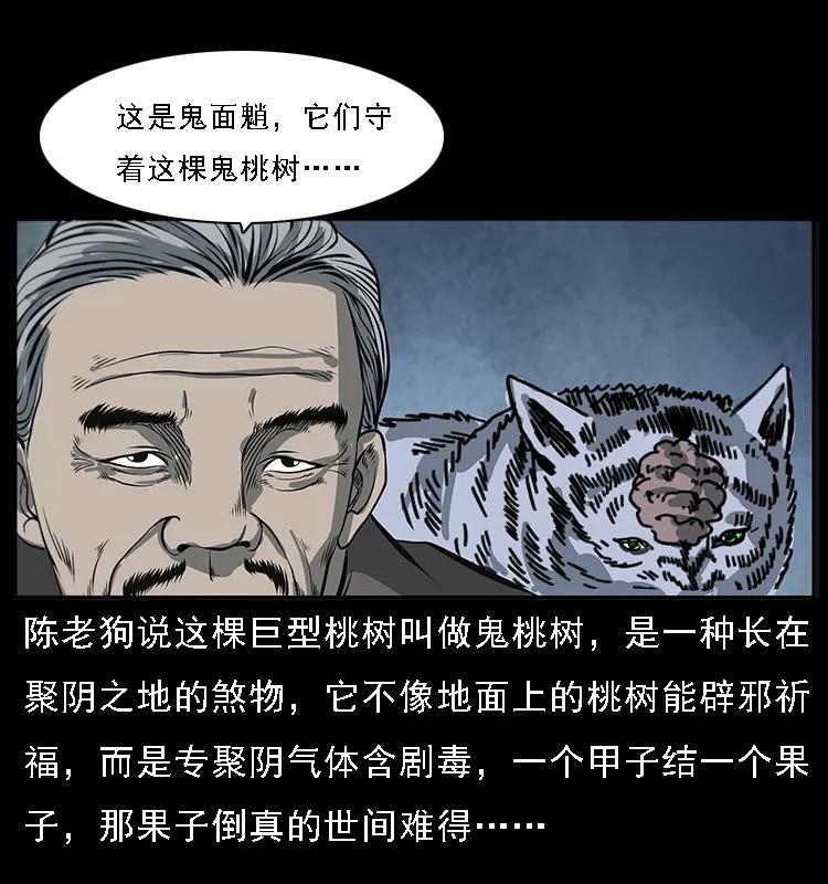 幽冥诡匠 082 鬼桃树 第31页