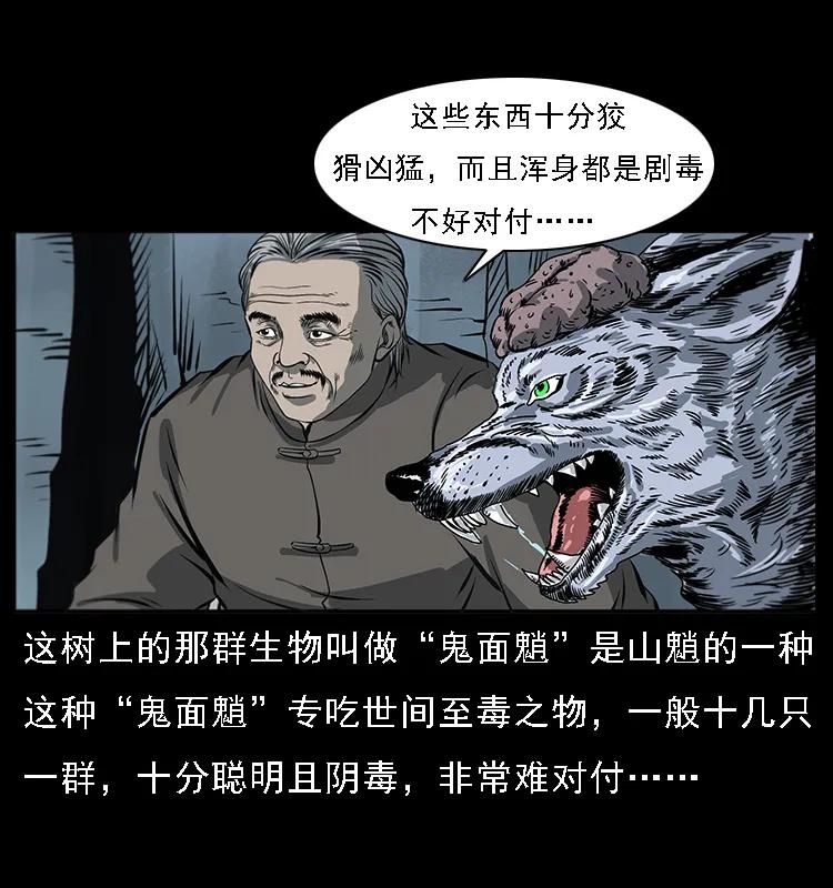 幽冥诡匠 082 鬼桃树 第32页