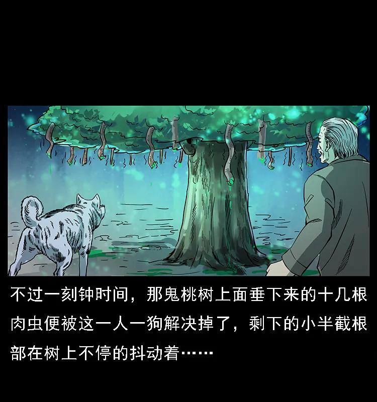 幽冥诡匠 082 鬼桃树 第74页