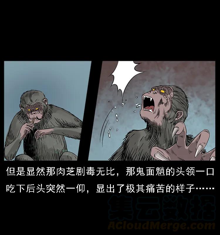 幽冥诡匠 082 鬼桃树 第41页