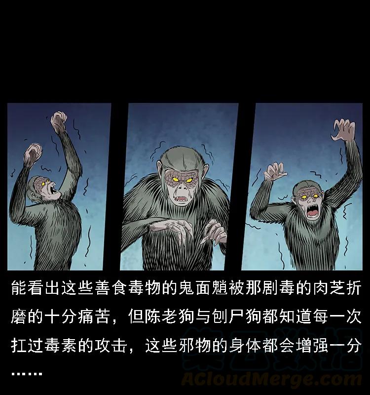 幽冥诡匠 082 鬼桃树 第45页