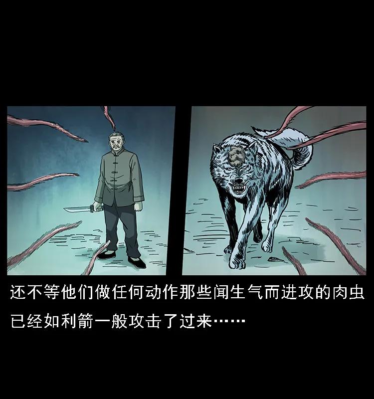 幽冥诡匠 082 鬼桃树 第67页