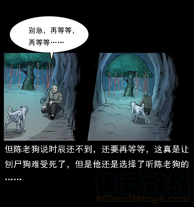 幽冥诡匠 082 鬼桃树 第57页