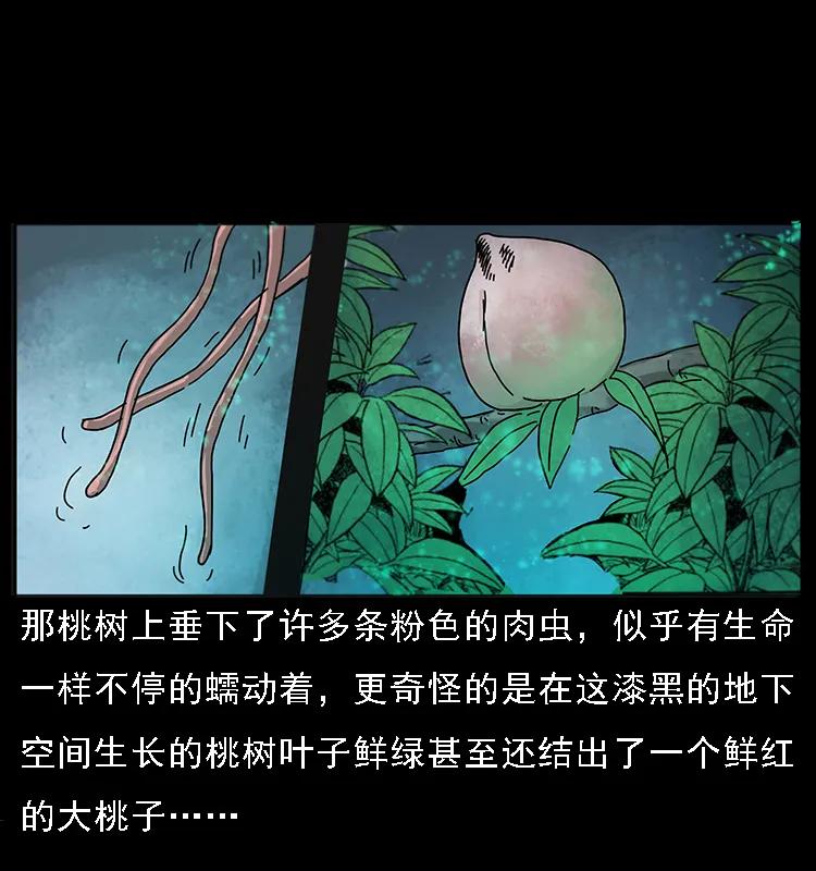 幽冥诡匠 082 鬼桃树 第27页