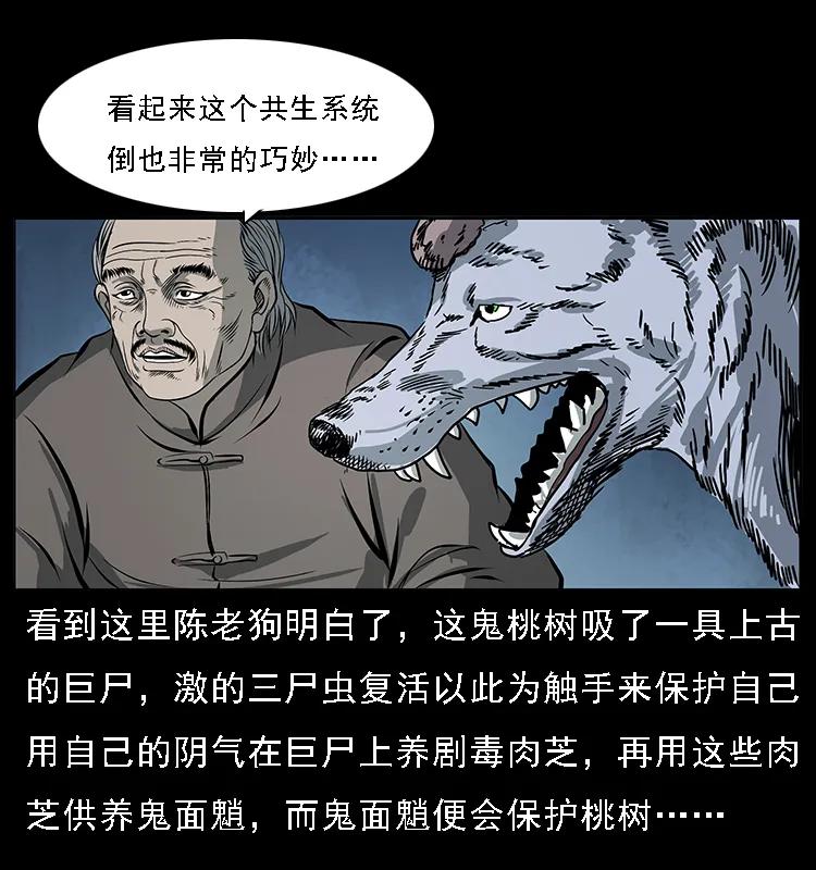幽冥诡匠 082 鬼桃树 第48页