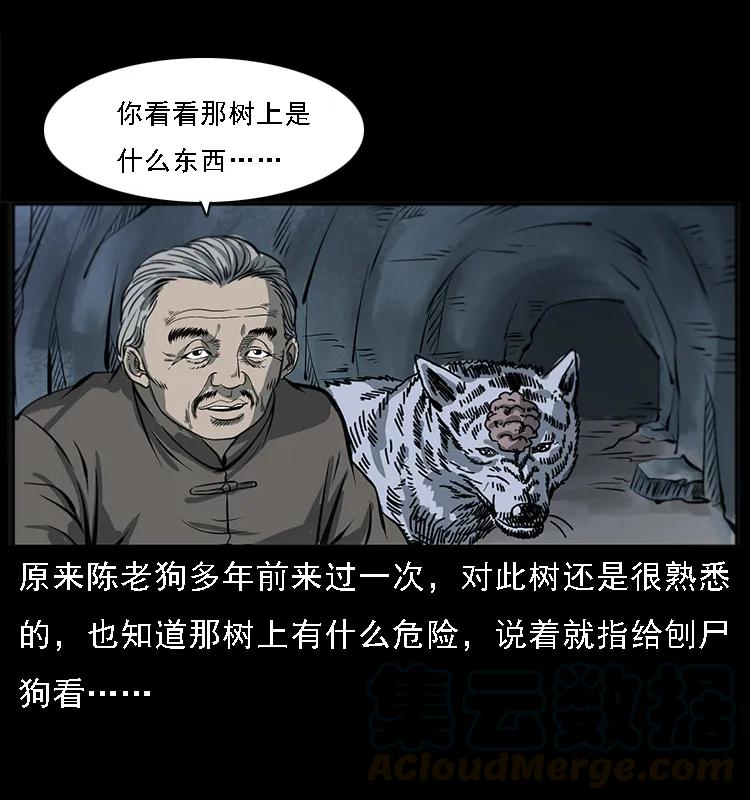幽冥诡匠 082 鬼桃树 第29页