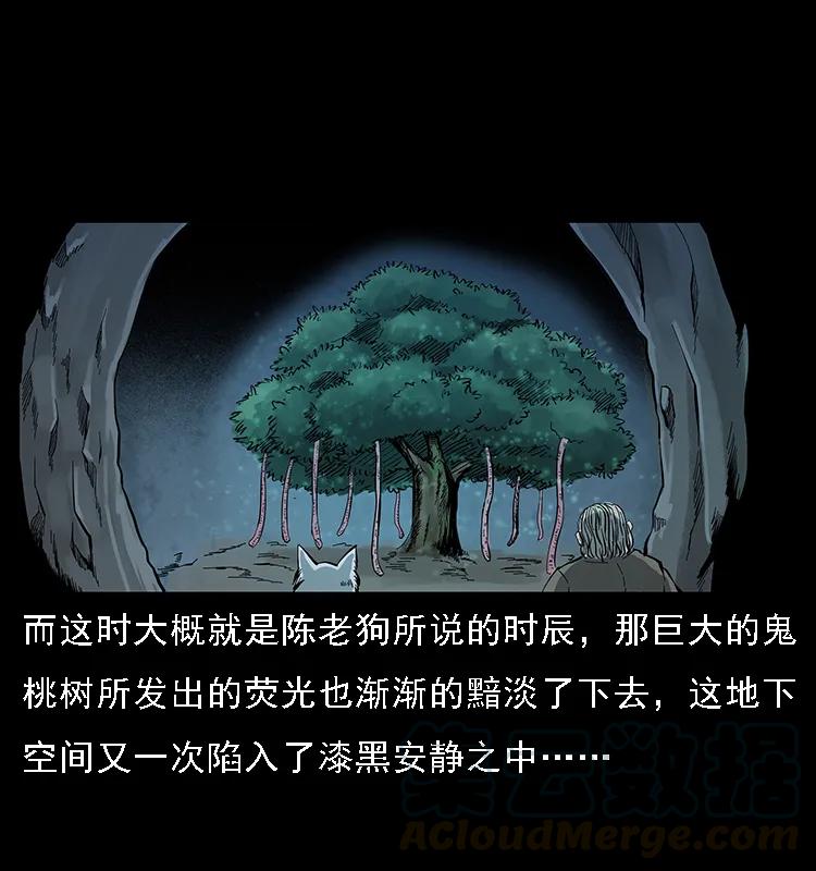 幽冥诡匠 082 鬼桃树 第61页