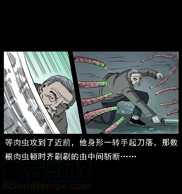 幽冥诡匠 082 鬼桃树 第69页
