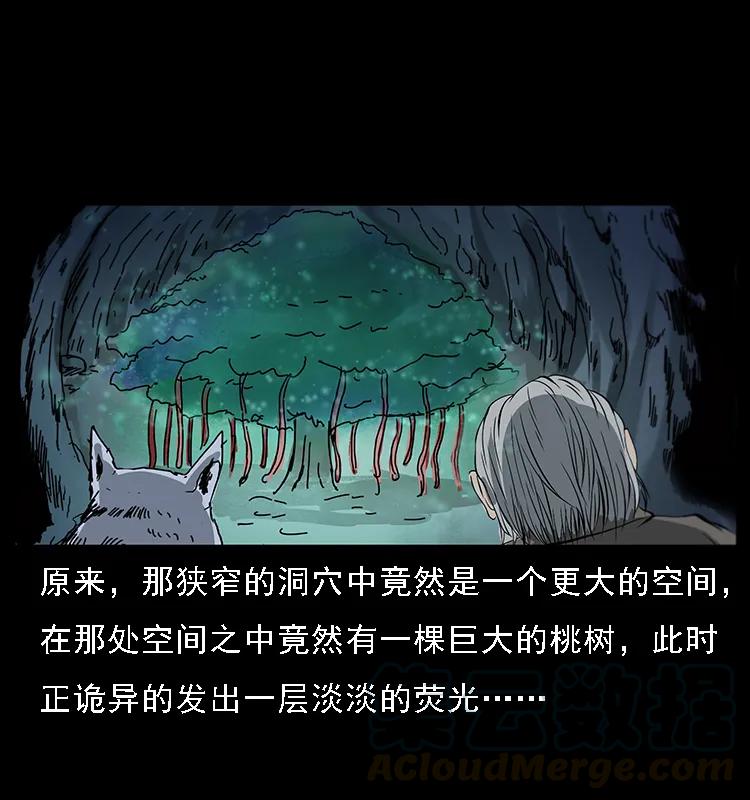 幽冥诡匠 082 鬼桃树 第25页
