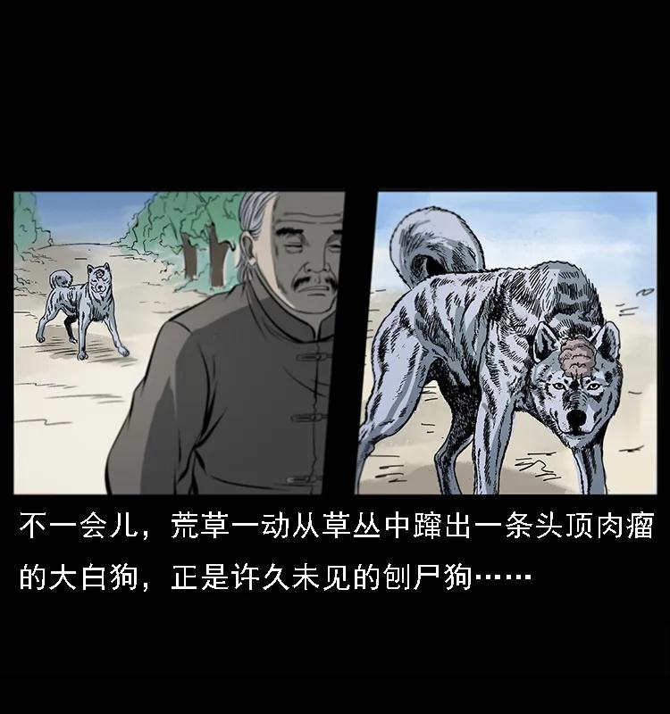 幽冥诡匠 082 鬼桃树 第11页