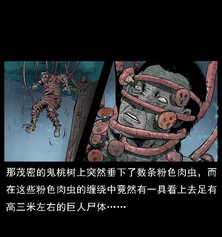 幽冥诡匠 082 鬼桃树 第38页
