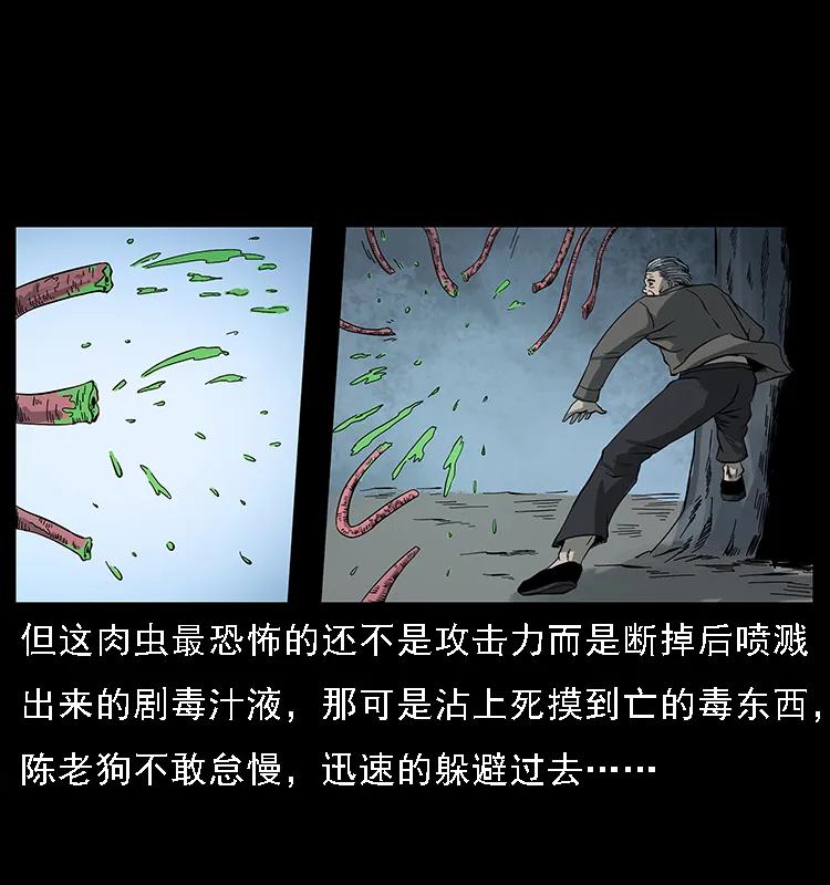 幽冥诡匠 082 鬼桃树 第70页