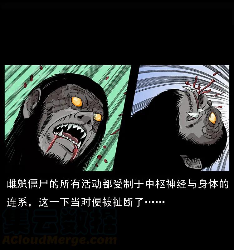幽冥诡匠 083 鬼面魈 第65页