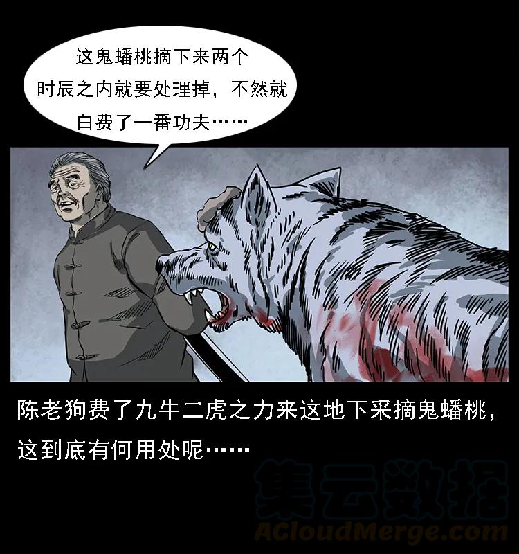 幽冥诡匠 083 鬼面魈 第81页