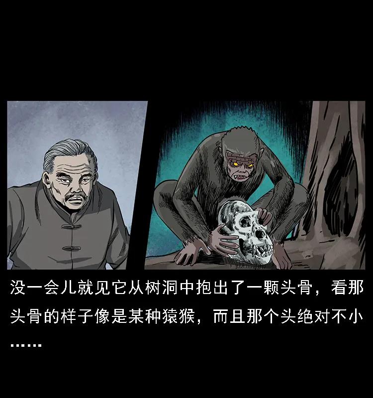 幽冥诡匠 083 鬼面魈 第23页