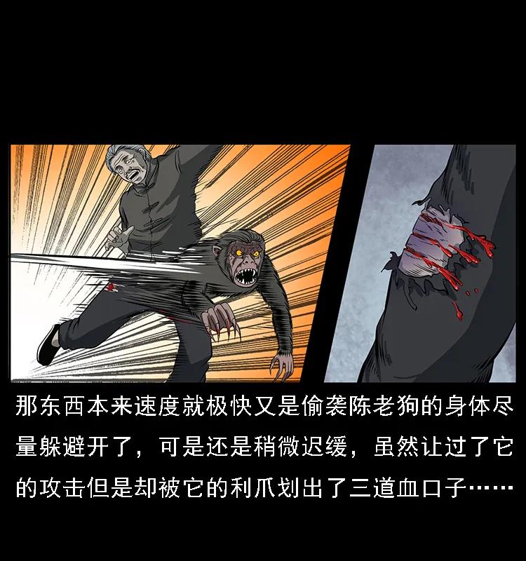 幽冥诡匠 083 鬼面魈 第46页